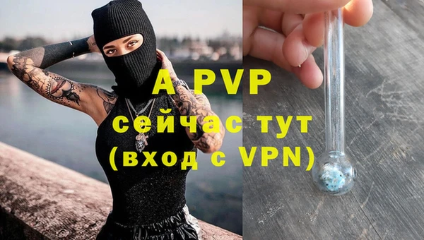 Альфа ПВП Надым