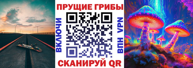 даркнет сайт  Сортавала  Галлюциногенные грибы Magic Shrooms 